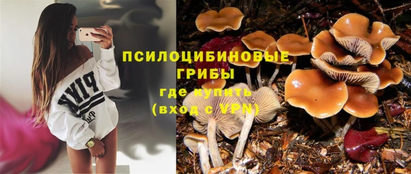 альфа пвп Горняк