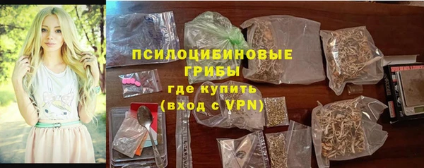mdpv Горно-Алтайск