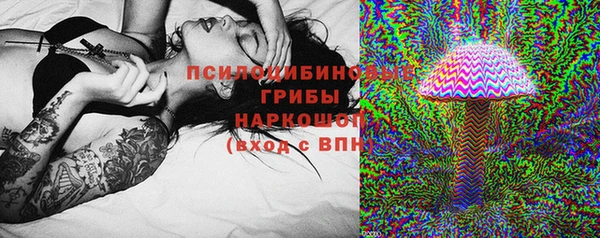 ALPHA PVP Горнозаводск