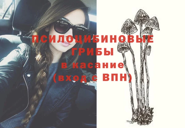 ALPHA PVP Горнозаводск
